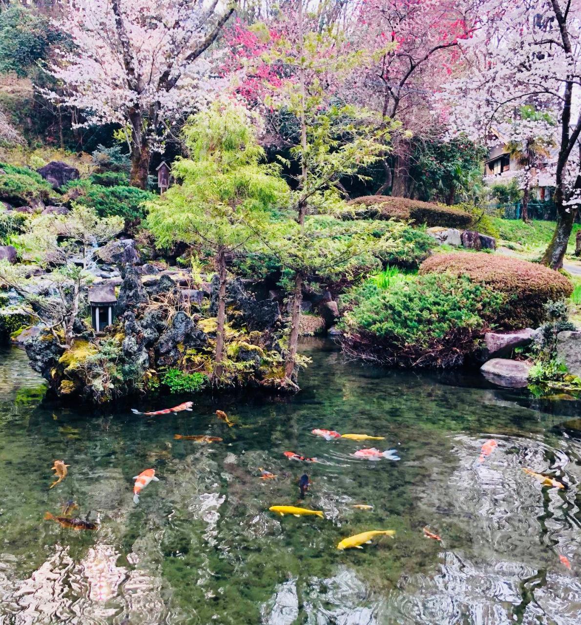 Ryutakuzenji 宿坊 Takasaki Zewnętrze zdjęcie